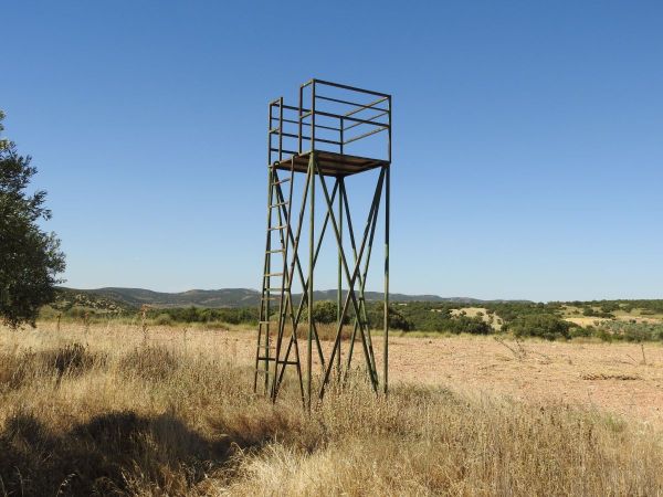 torreta