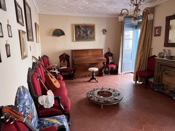 Sala de musica, piano e instrumentos varios